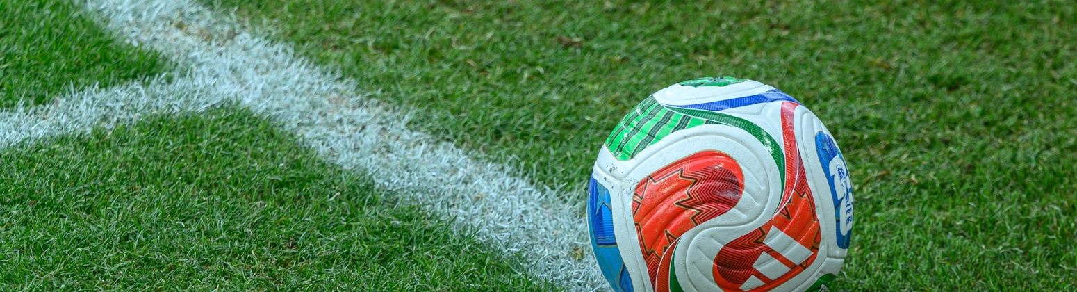WC Soccer Ball + End Goal (1)