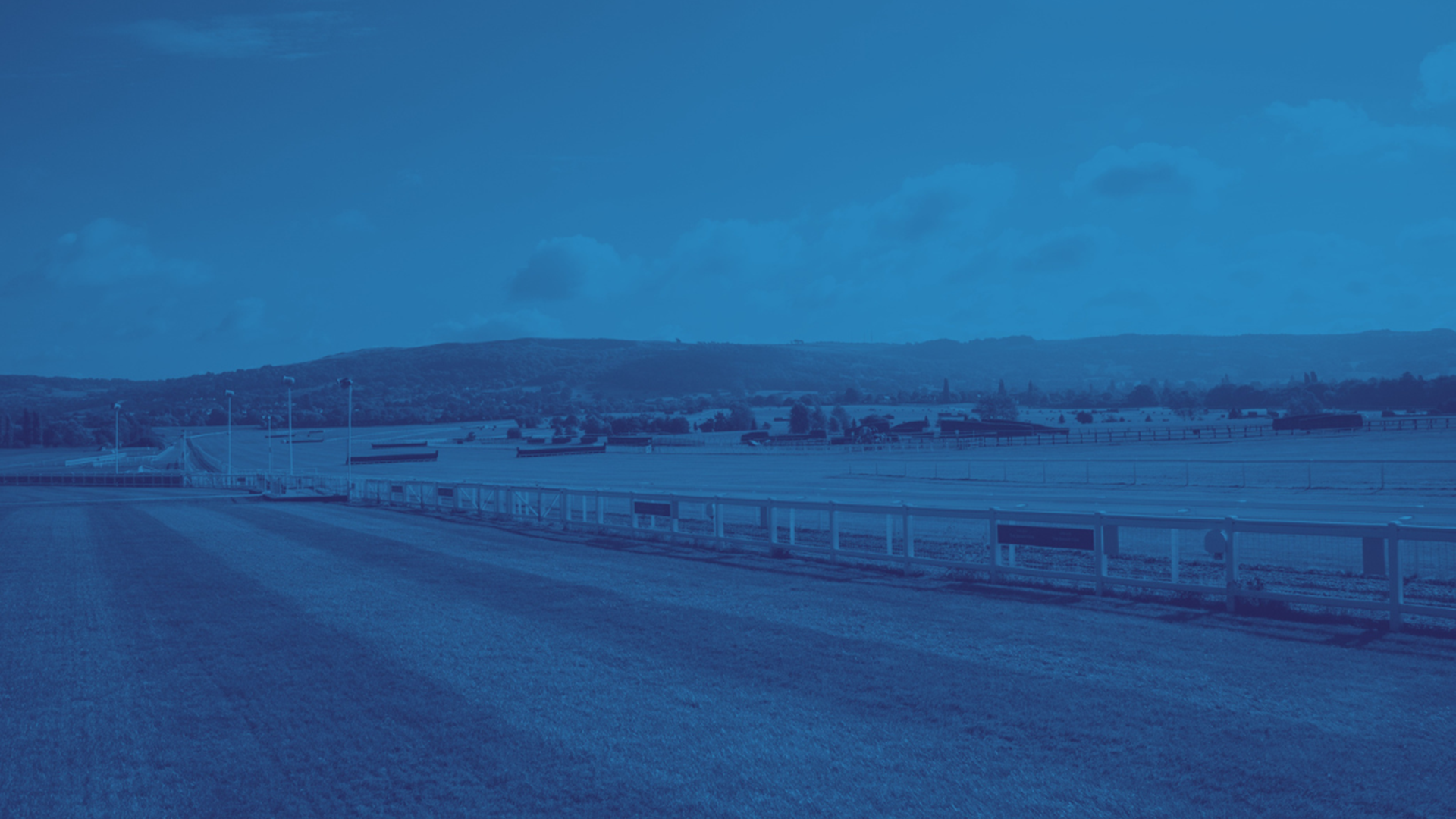 Flutter Processes 35m Bets as Punters Celebrate a Century of Cheltenham