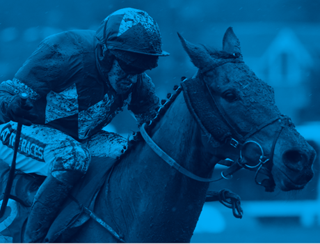 Flutter to sponsor six-part horseracing docuseries to air on ITV1 in 2024