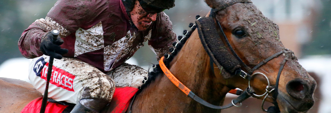 news hub horse jockey