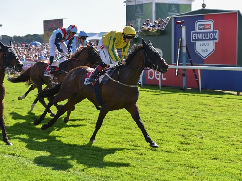 Sky Betting & Gaming and York Racecourse announce Yorkshire-based causes shortlist for Sky Bet’s Ebor Festival Community Sweepstake