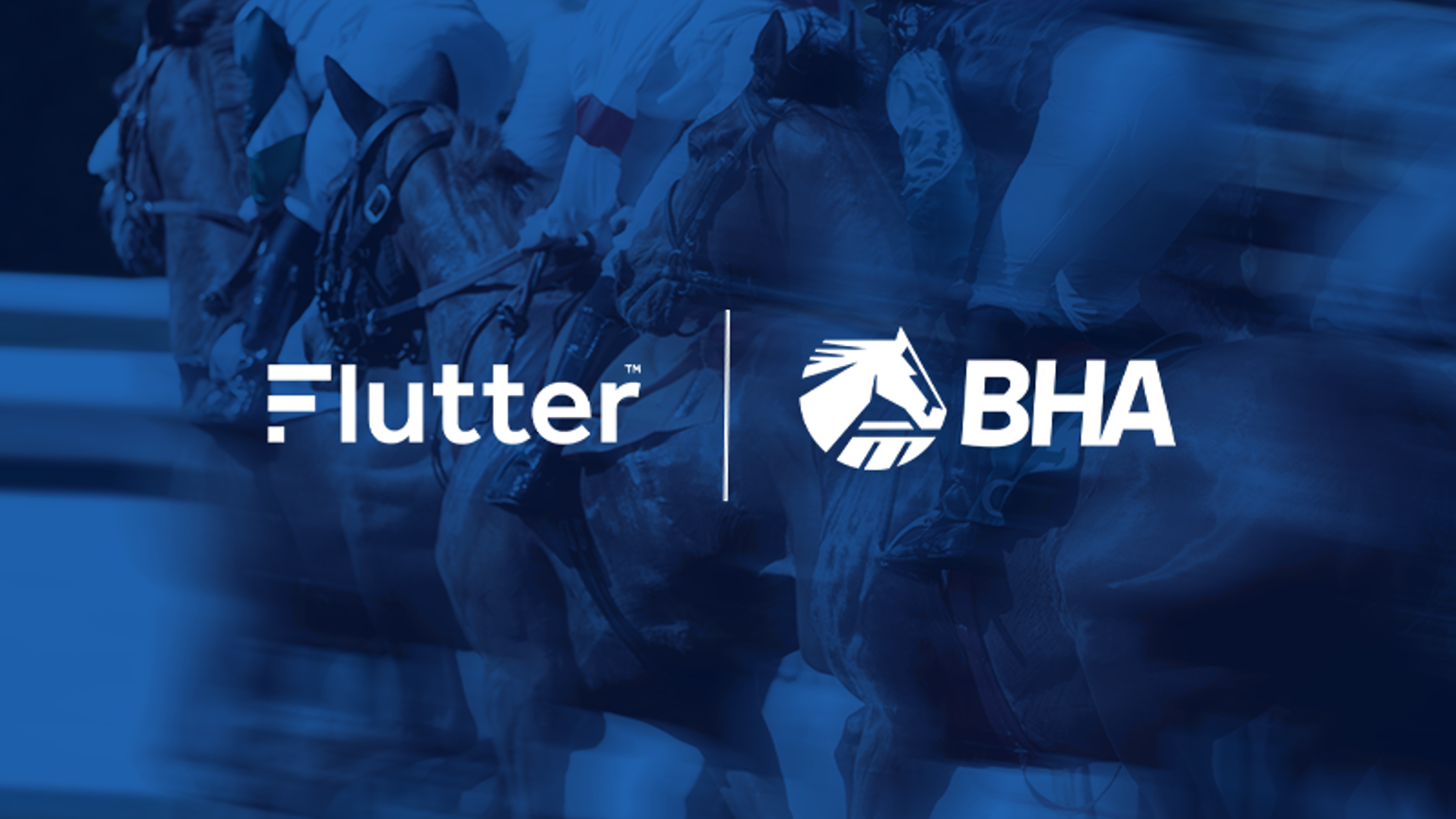 Cheltenham 2026 Op Horse Image 2 800X600