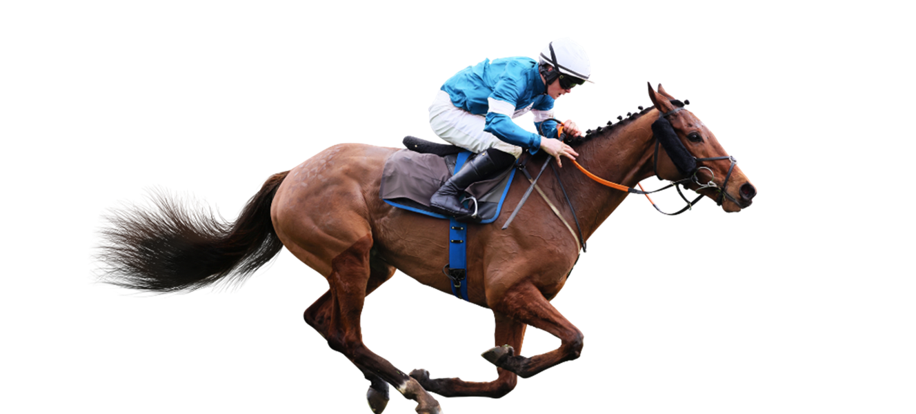 Amplifying The Thrill