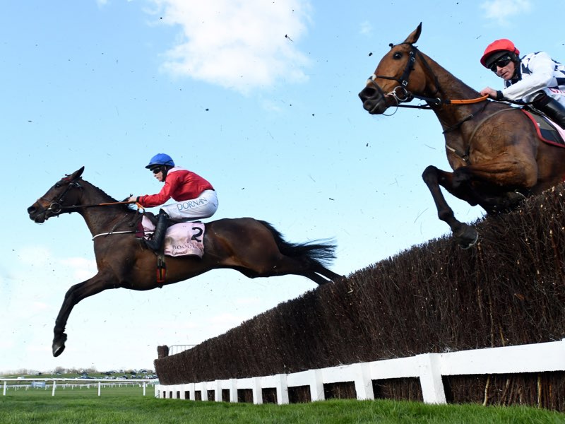 Timeform Race Passes