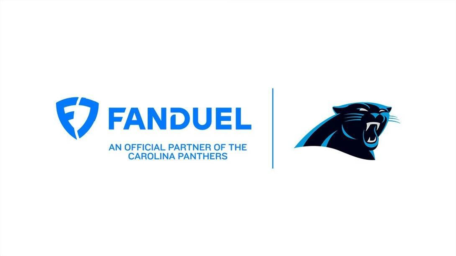 carolina panthers image