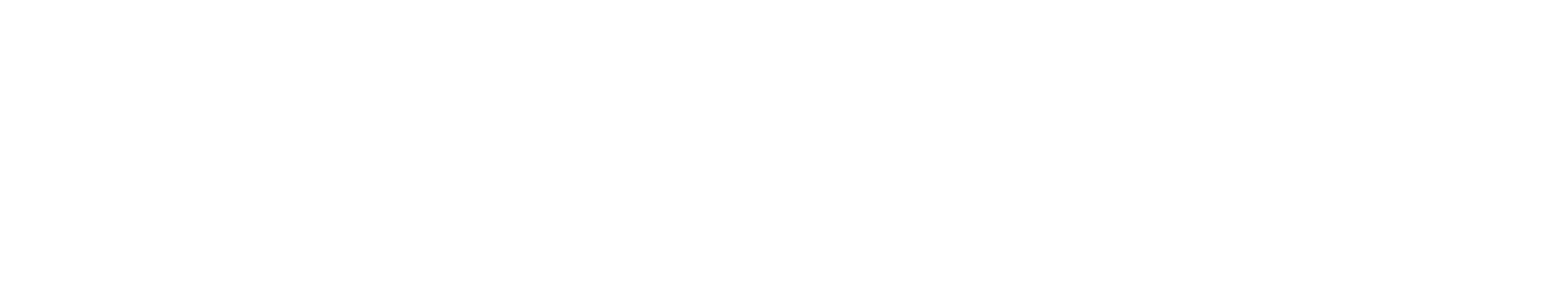 Flutter Logos 480X86 White PP White