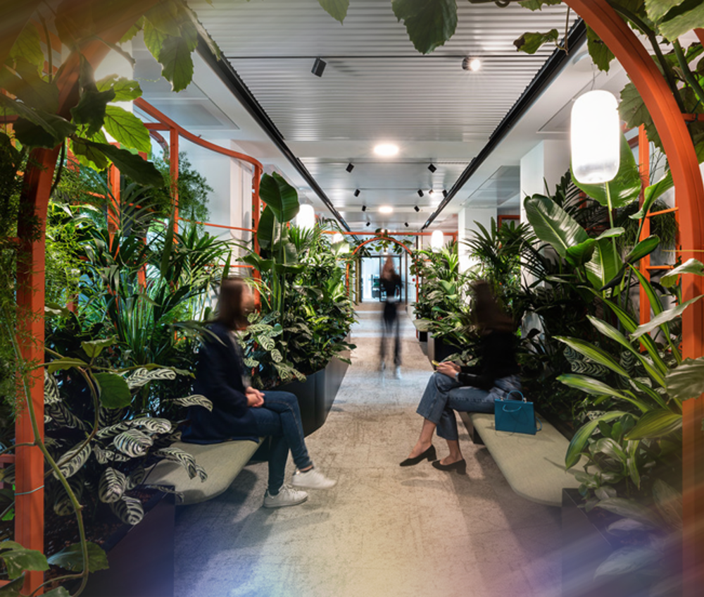 Sisal Carbon Neutral