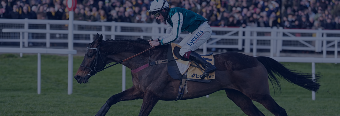 Tradition, Tribute, and Thrills: Flutter’s race to Cheltenham